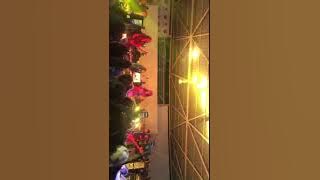 Xpdc - Bahalo live p.gudang