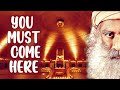 Sadhguru -Live Among people who are Intense and  Focused!