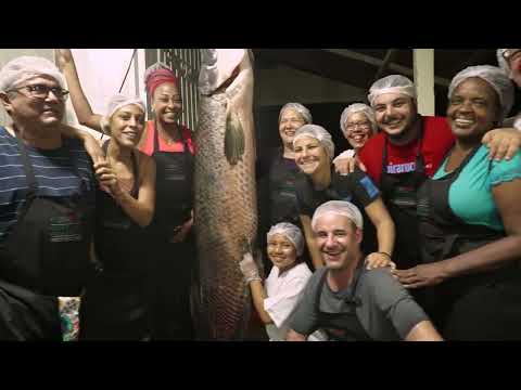 Chefs do Rio de Janeiro e Manaus conhecem o manejo do pirarucu selvagem na Amazônia