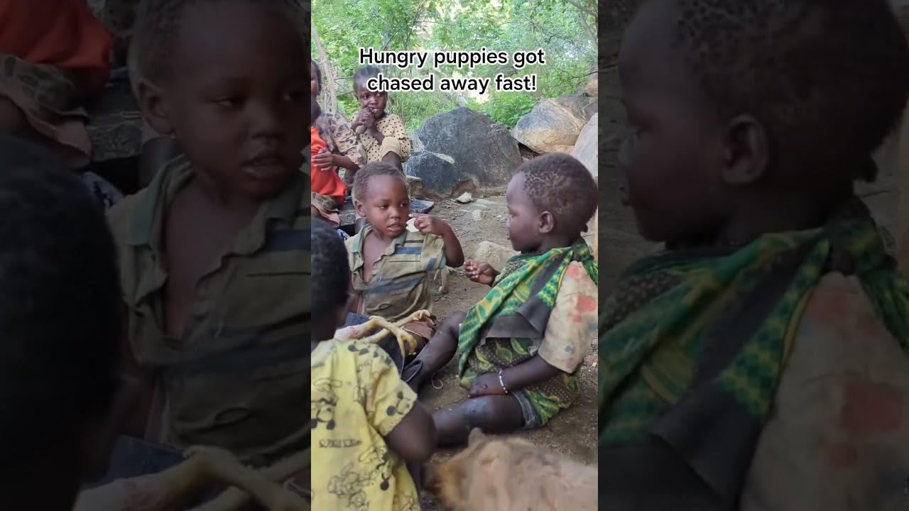Hadzabe Kids Chase Hungry Puppies From Food Scraps. #africa #documentary #wildlife