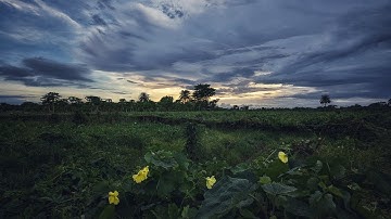 Google Pixel 6a Timelapse Video