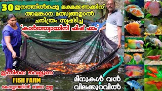 30 ഇനത്തിൽപ്പെട്ട ലക്ഷക്കണക്കിന് അലങ്കാര മത്സ്യങ്ങളാൽ വിസ്മയം തീർത്ത ബാബു ചേട്ടൻ|Fish farm kerala