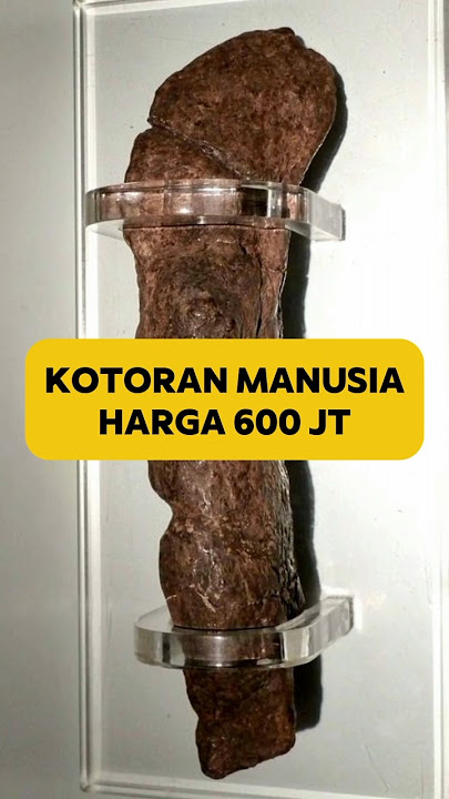 THE MOST EXPENSIVE HUMAN FEELINGS IN THE WORLD?😱 #shorts #viking