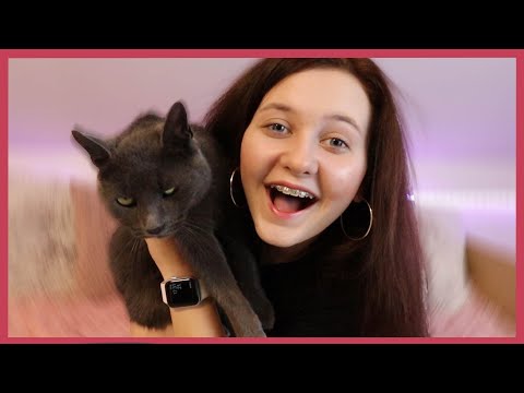 Video: Mačka S 26 Prstami Zbiera Peniaze Do útulku - Alternatívny Pohľad