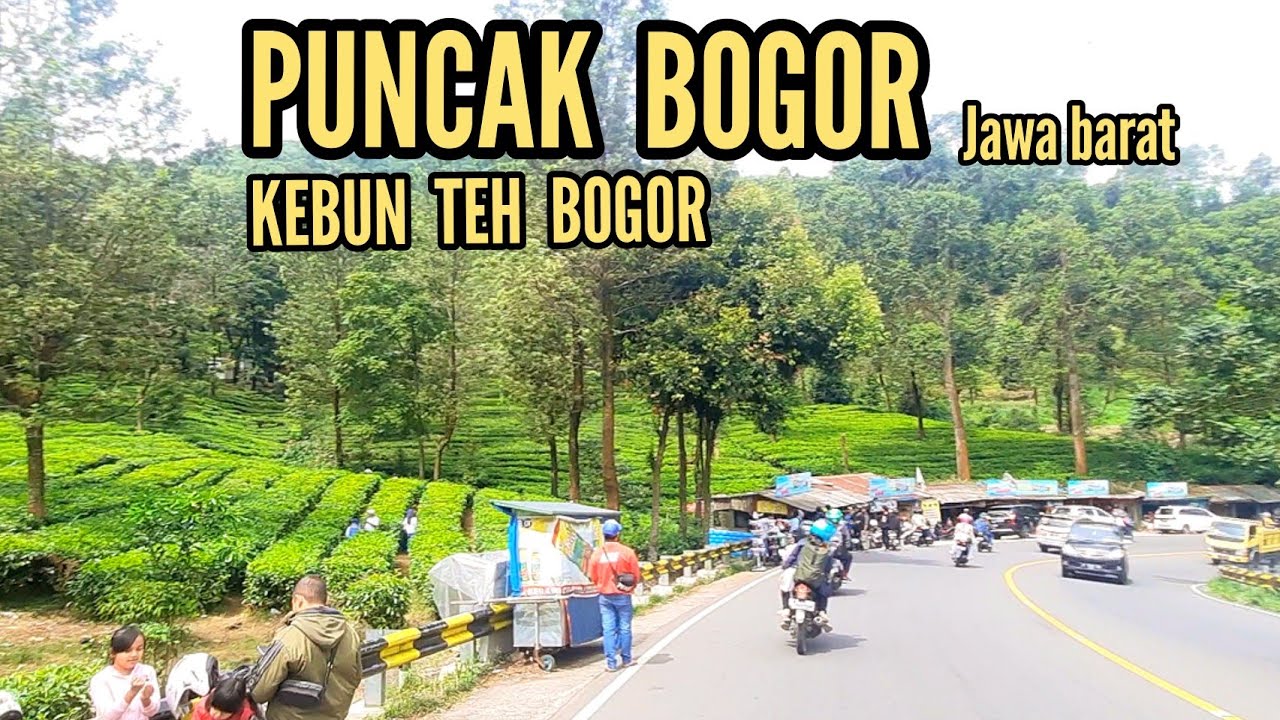 Trip Keindahan Puncak Bogor Jawa Barat || Kebun Teh Puncak Bogor