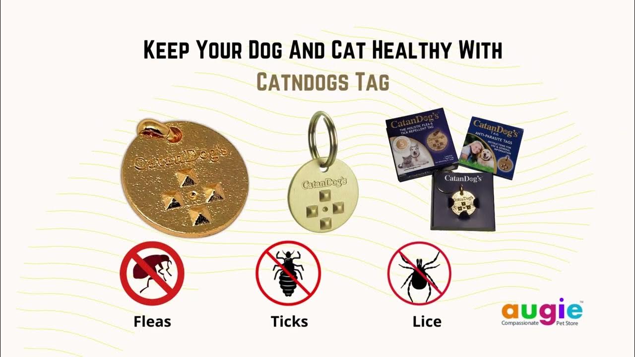 Flea And Tick Tag | Flea Tag For Dogs And Cats | Flea And Tick Tags For