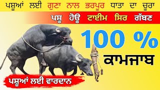 ਪਸ਼ੂਆਂ ਲਈ ਗੁਣਾ ਨਾਲ ਭਰਪੂਰ ਧਾਤਾ ਦਾ ਚੂਰਾ Vm All Chelated Minerals Mixture for Animals