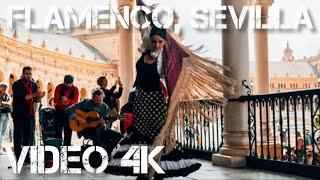 The best Flamenco | Plaza de España | Seville, Spain  | Video 4k  2022 |