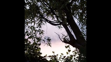 Evening Mood *CBA Mood & Montreal Assembly Count to 5 & guitar & Ditto*