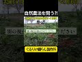 無肥料栽培は土からの搾取!?実績50年の自然農法家に問う【自然】【農】③ #エコビレッジライフ体験塾 #ぐるりの暮らし製作所 #自給生活北海道
