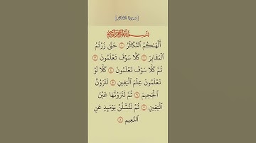 سورة التكاثر كاملة #القرآن الكريم
