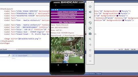 UTS Pemrograman Mobile 2 - Membuat biodata diri menggunakan Xamarin
