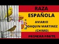 RAZA ESPAÑOLA, AVIARIO JOAQUIN MARTINEZ