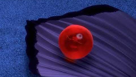 Finding Nemo/ Nemo Egg (1 hour loop)