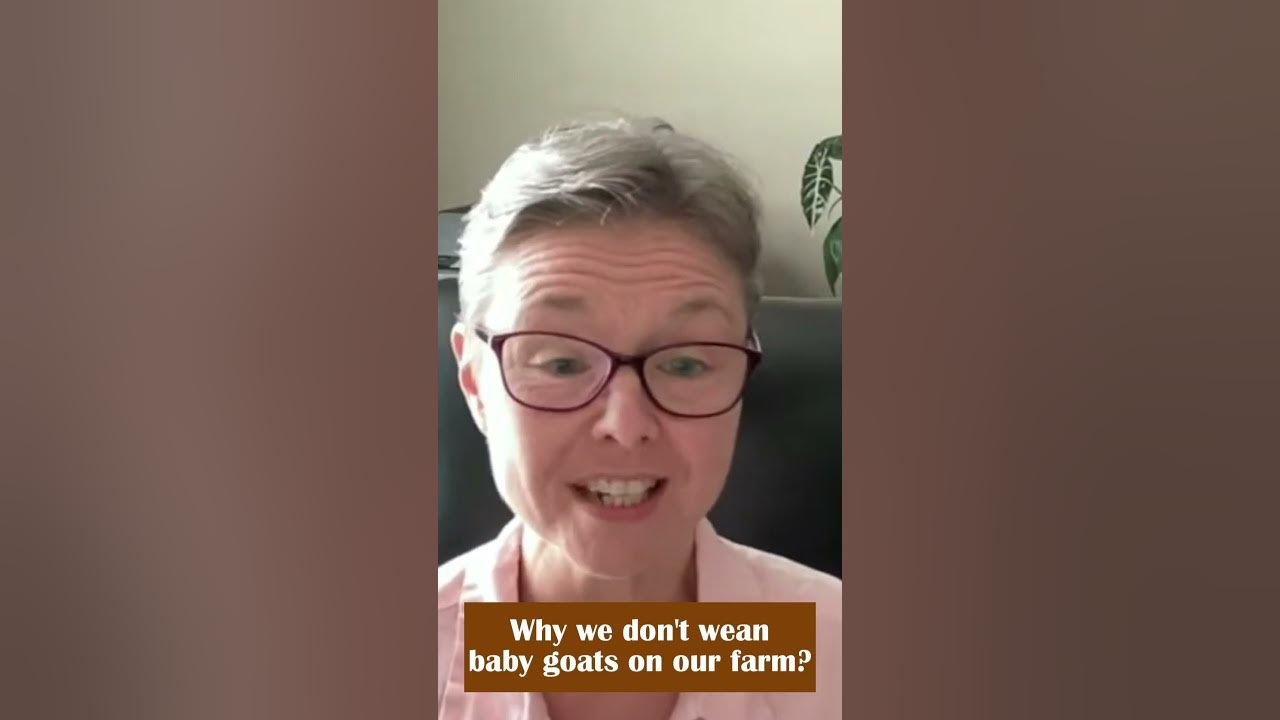 why-we-don-t-wean-baby-goats-on-our-farm-youtube