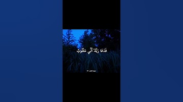 اكتب شيء تؤجر عليه🪻 #قرآن #عبدالباسط_عبدالصمد #اللهم_صل_على_محمد_وال_محمد #راحة_نفسية #سورة_القمر
