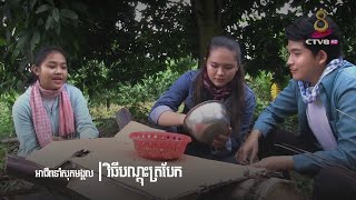 វិធីបណ្តុះត្របែក-How to grow bumps |អាជីពនាំសុភមង្គល