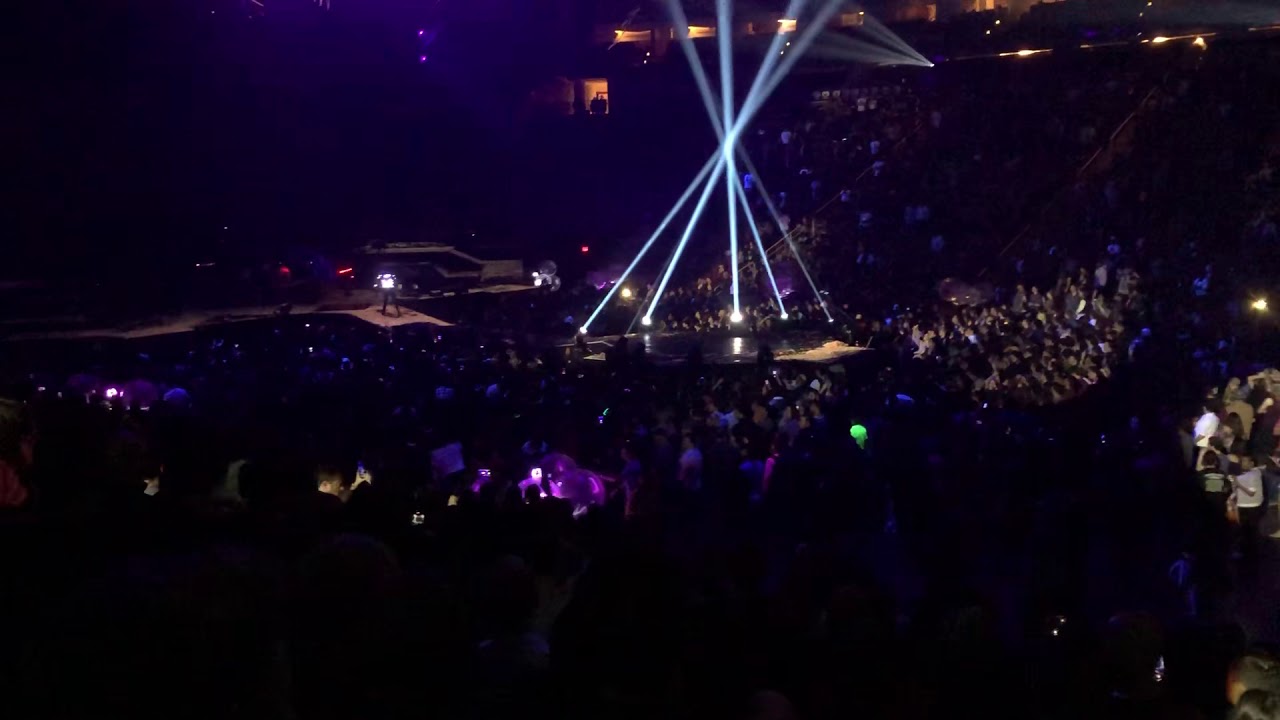 starlight muse starlight muse