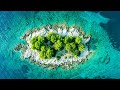 Throw Stress Away with Relaxing Piano Music & Beautiful Nature - Sleep Music & Stress Relief Music