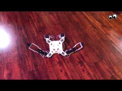 Nino and Twist - video from Sirena Technologies