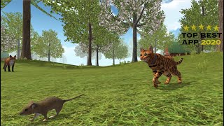 Cat Simulator 2020 - Start a cat family on a farm! NEW TOP BEST APP screenshot 4