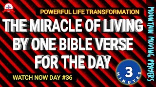 🔥Come Experience The Miracle Of Living By One Scripture A Day🔥Simple & Easy Life Transformation 🔥