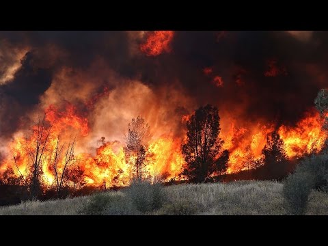 Vídeo: Museo De La Pepita De Oro De California Destruido En Incendios Forestales