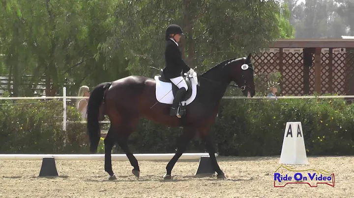 089D Fran Lancaster on Elecktra SR Training Dressa...