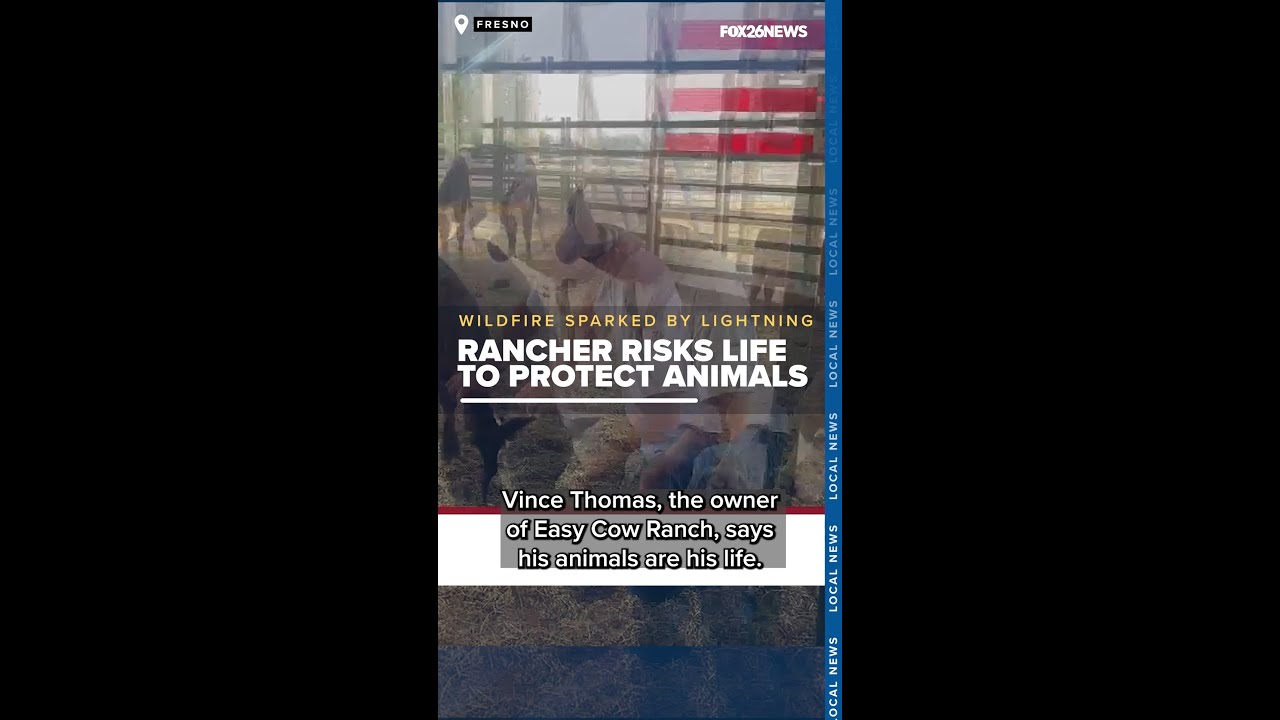 Rancher risks life to protect animals from California wildfire sparked by lightning