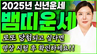 뱀띠 주목! 미리보는 2025년 을사년 뱀띠운세 금전 횡재수가 들어와 대박난다!말년에 자식복으로 집안에 경사…