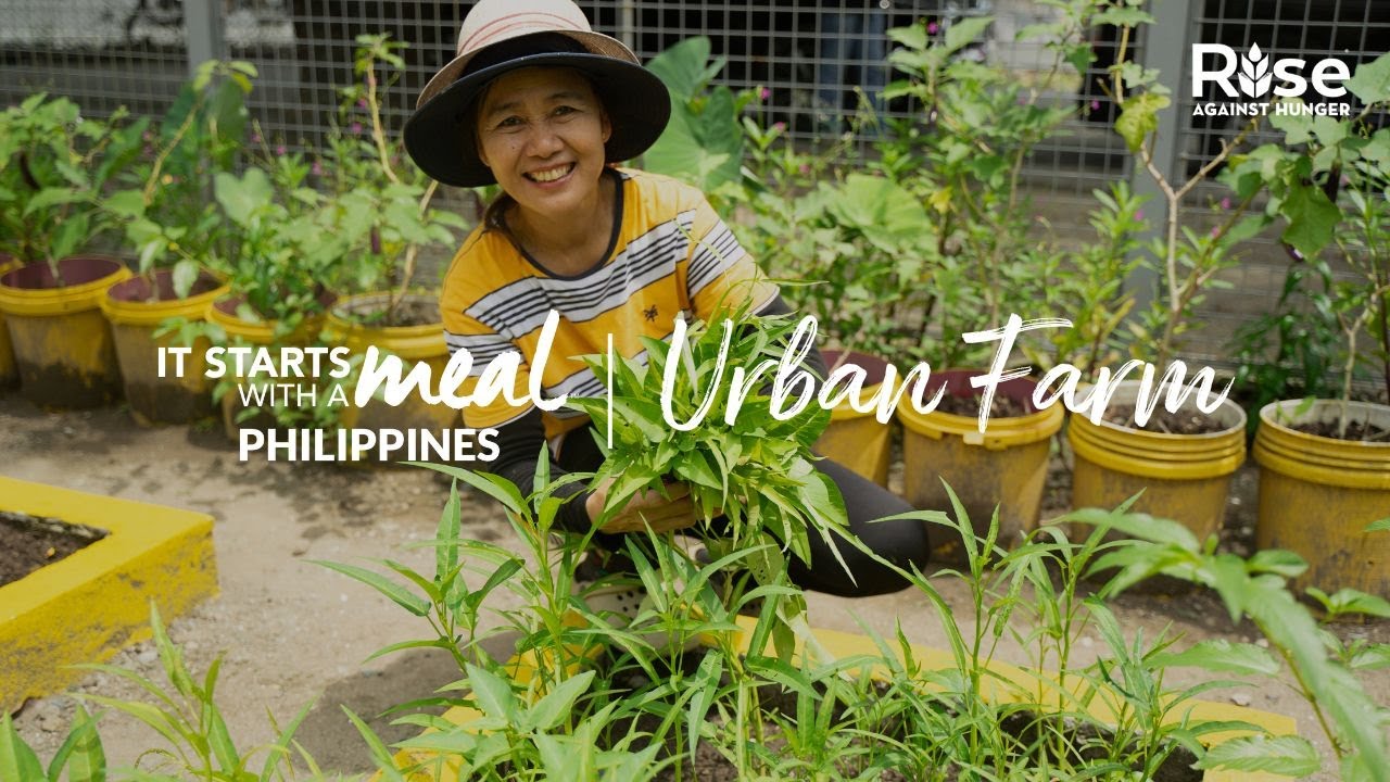 Philippines Urban Garden