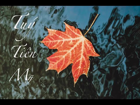 [Vietsub]  Túy Tiên Mỹ – Na Mỹ《醉仙美》 // 娜美/ Hà An Nhiên