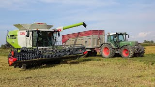 Claas Lexion 760 TT | Capello GS700 | Fendt 415 - Favorit 515 C