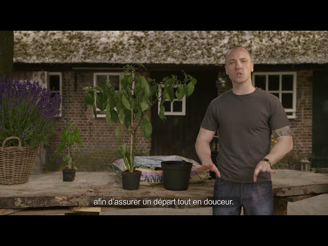 Watch Le rempotage des plantes - Ep2 S2 avec CANNA on YouTube.