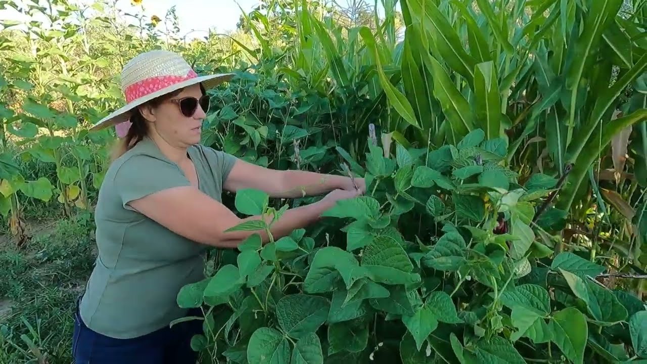 HORTA ANA REINA #DICAS QUE OS AMIGOS DERAM PARA A MOTOSSERRA