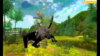 Intro Dla Thestarstable Schleich Link Do Kanału W Opisie Koko