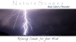 🎧 RAIN WITH THUNDER - Relaxing Sounds of Rainstorm with Wind & Loud Thunder by Sounds by Knight 160,876 views 11 years ago 26 minutes