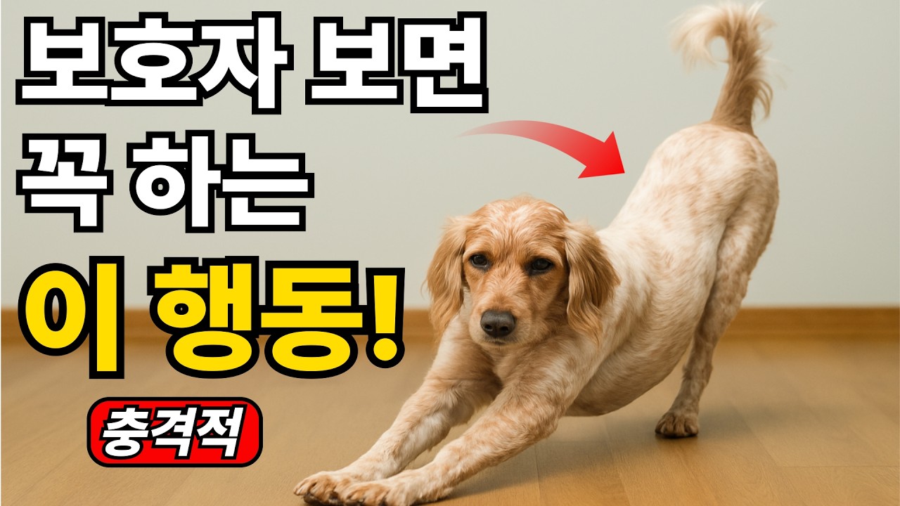 강아지 스트레칭, 99% 보호자가 놓치는 진짜 의미