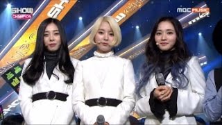 LADIES' CODE Comeback Stage Galaxy Show Champion (2/24/2016) [CC: ENG SUBS]