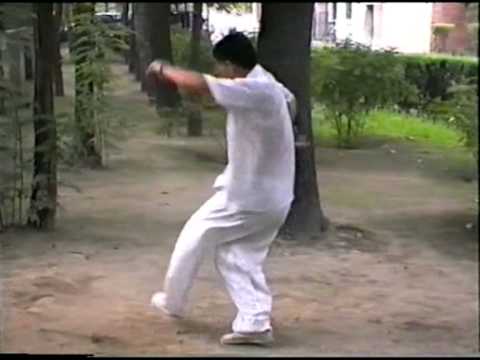 bagua fei jiugong 1.mpg