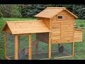 Top 10 Chicken Coops