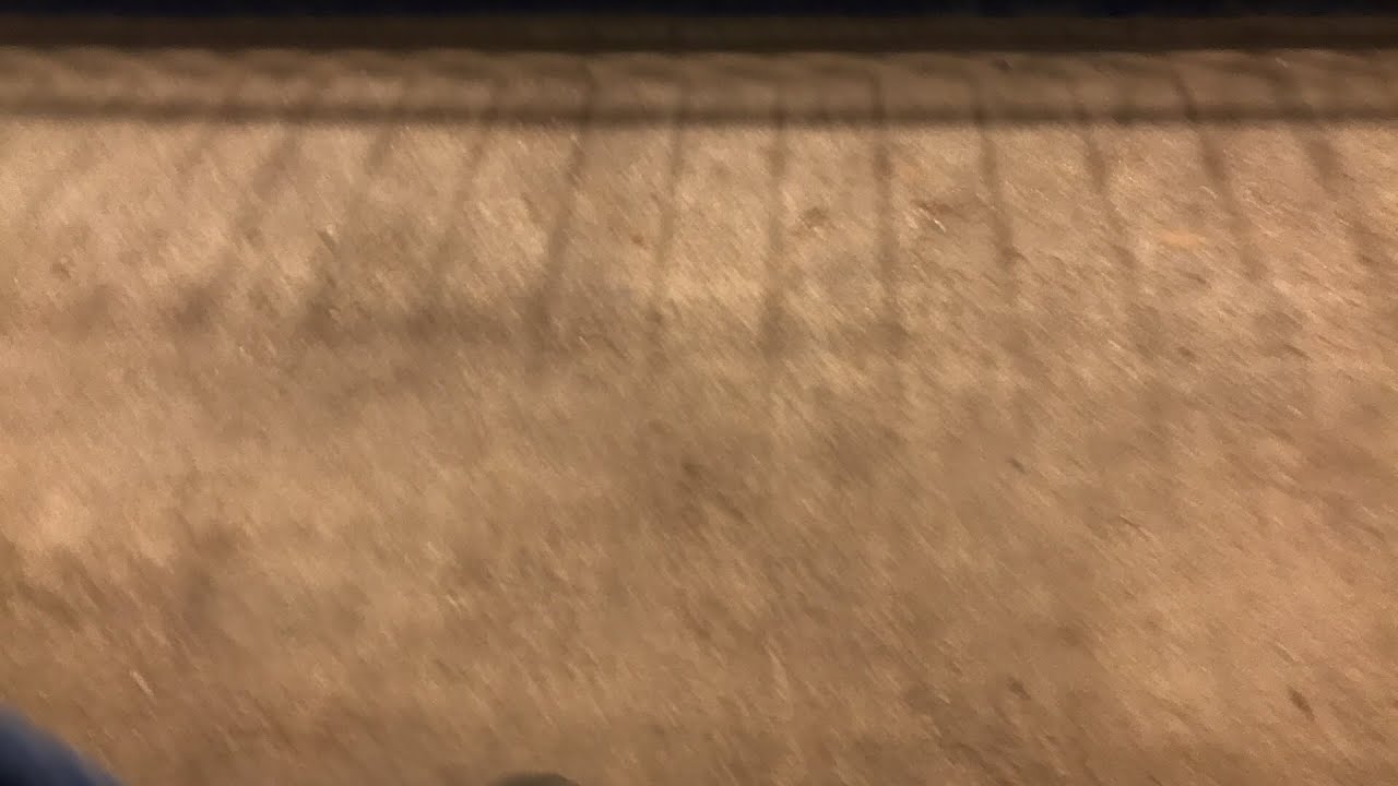 Afternoon fun at the arena