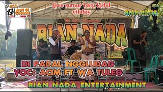 Download lagu DI PADAL NGGLUDAG - Organ dangdut RIAN NADA entertainment, di kp. Sumur batu kidul, cilalay,