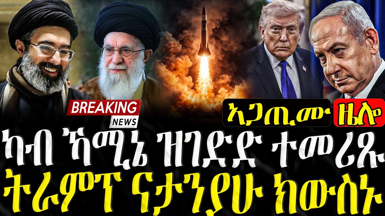 ካብ ኻሚኔ ዝገድድ ተመሪጹ - 09/03/2026