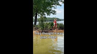 They thought it was BIRD POOP 🤣