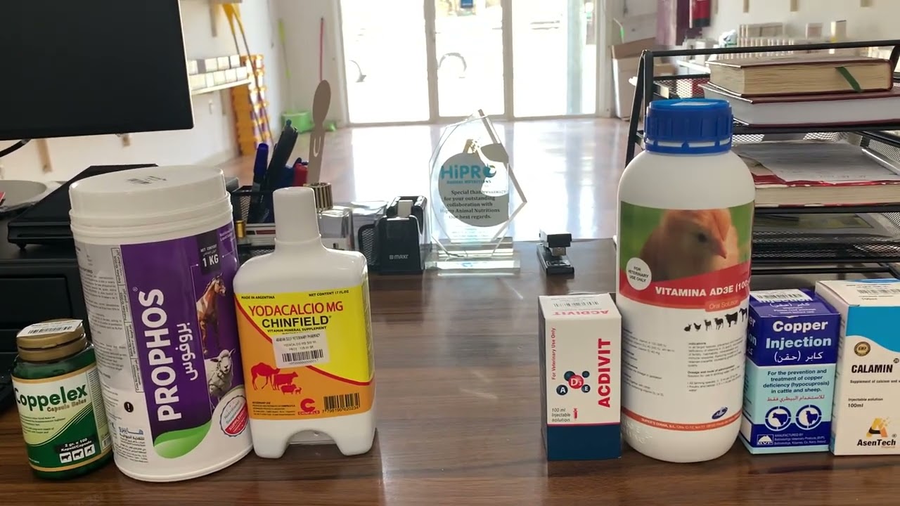 مرض اللّين ( الكساح ) عند الحيران الصغيرة و المفاريد