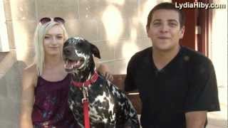 LYDIA HIBY, Animal Communicator:  Patches the Dalmation Dog