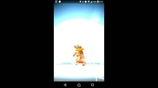 ポケモンgo ブイゼル フローゼルに進化 Youtube ポケモンgo ブイゼル フローゼルに進化 Youtube