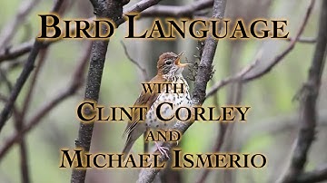 Bird Language with Clint Corley and Michael Ismerio Part 1