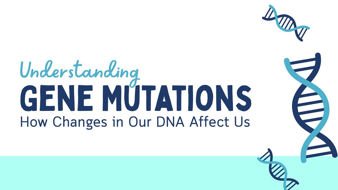 Gene Mutations Explained | Effects of Mutation | NEET Biology Class 12 ...